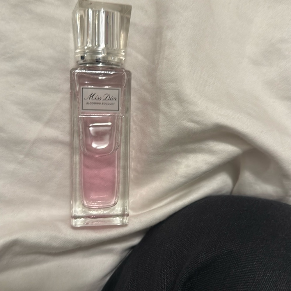 Small ms dior